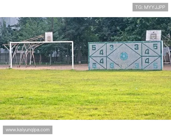 开云完美体育真人娱乐：丰富的奖金奖励机制，激发玩家的无限热情与参与度